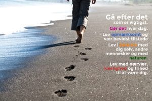 lev i balance